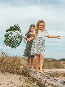 26E2PFK3ROB_009_4a6e13c68-b0cf-4062-89cf-ce55f8890f4a.webp