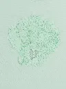 26S901X6TMC_C216_1292f1b84a-bc37-4b64-be53-a19e291cda5d.webp