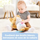 MON CHATON DOUCE NUIT