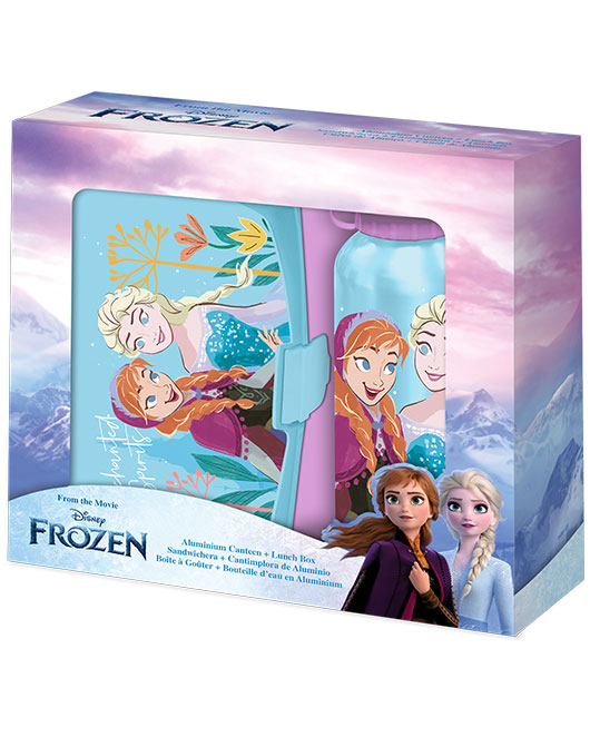 coffret boite + gourde la reine des neiges