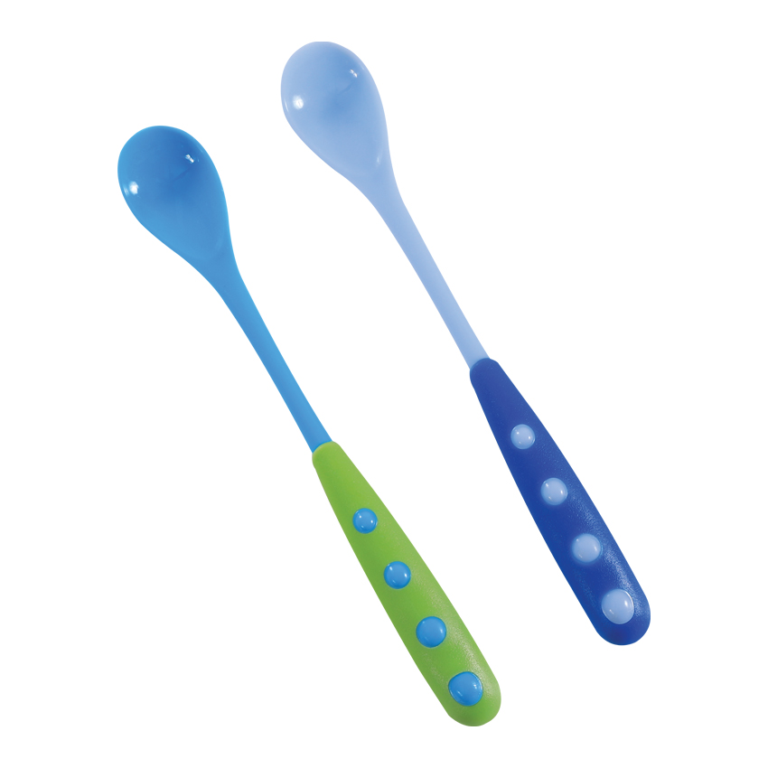 lot de 2 cuillère bleu