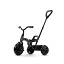tricycle ant plus gris