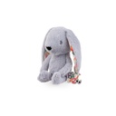 Lapin bunny gris