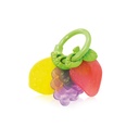 dentition fruit 